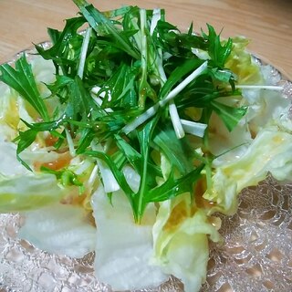 レタスと水菜の中華風味のサラダ